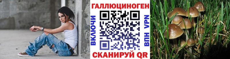 Купить закладки  Сенгилей  Галлюциногенные грибы Cubensis 